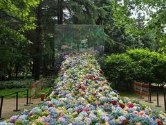 -上海共青森林公园