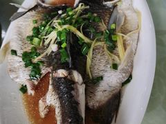 -区海鸡场饭店(石壁店)