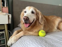 -飛凡TATTOO纹身•原创