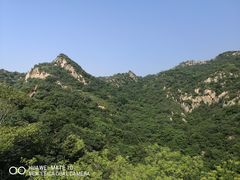 -大岭沟猕猴桃谷风景区