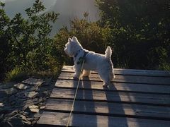 -白草畔自然风景区