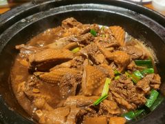 红焖温泉乡鹅-昌隆•家家鹅乡•海南菜老字号(琼海店)