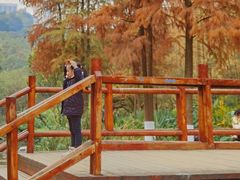 -重庆彩云湖湿地公园
