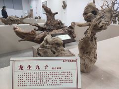 -岳阳市博物馆