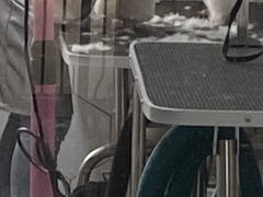 -有它宠物(顺义双兴店)