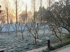 -苏州上方山国家森林公园