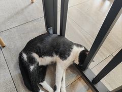 -屋里家延边朝鲜族冷面(梅林3店)