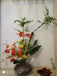 -酉嘉瑜伽YO+YOGA