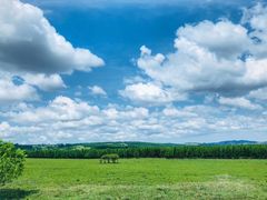 -塞罕坝国家级自然保护区