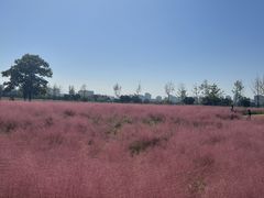 -汉长安城未央宫国家考古遗址公园