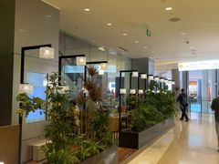 -THE WOODS 简餐 (国贸商城店)