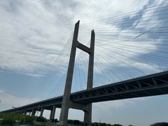 -上海浦江郊野公园-5号停车场