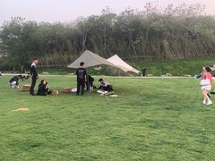 -羊山湖公园