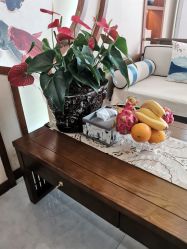 -艾尚灸头道汤养生馆