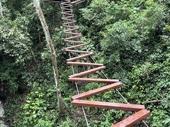 -西双版纳原始森林公园