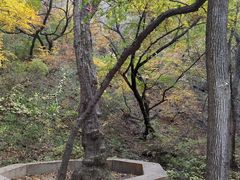 -大青沟风景区