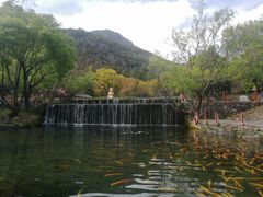 -丽江玉水寨