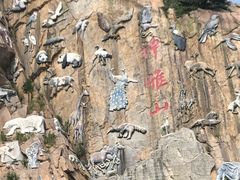 -西霞口神雕山野生动物世界