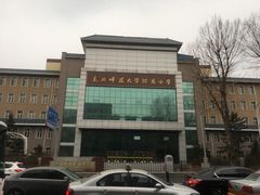 -东北师范大学附属中学(自由校区)