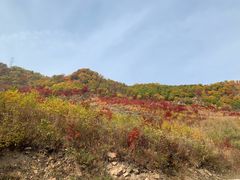 -龙道沟景区