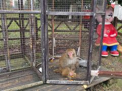 -武汉紫薇都市田园