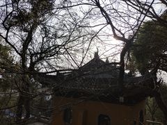 -灵岩山风景区