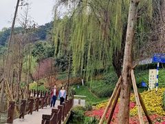 -重庆彩云湖湿地公园