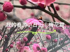 -美兰湖景区