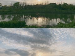 -贡湖湾湿地公园