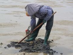 -北海金海湾红树林生态旅游区
