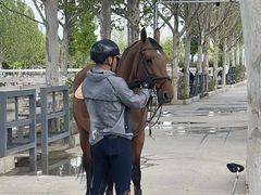 -北京群众马术培训基地