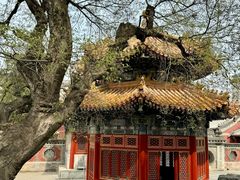 -北京艺术博物馆(万寿寺)