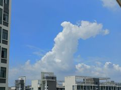 -华侨大学(厦门校区)