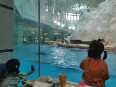 -帝企鹅自助餐厅•儿童岛•真企鹅(长隆企鹅酒店)