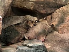 -正佳雨林生态植物园