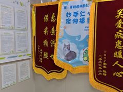 -瑞鹏宠物医院·骨外科·心肾科·肿瘤科(九亭店)