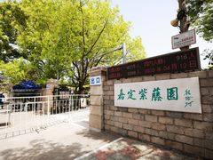 -嘉定紫藤园