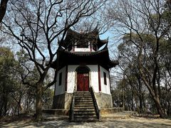 -上海佘山国家森林公园天马山园