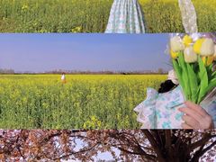 -汉长安城未央宫国家考古遗址公园