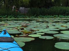 -WhaleSports户外水上运动俱乐部(朝阳公园店)