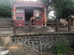 -东寨港红树林旅游区