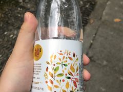 -神农架香溪源景区