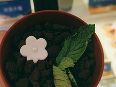-小天鹅戴斯酒店鲸鲨百汇创作料理