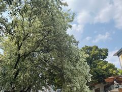 -三圣花乡旅游区