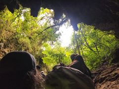 -怀托摩萤火虫洞