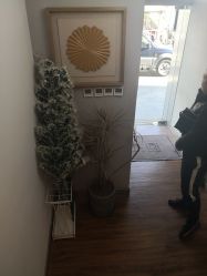 -THE LOG SALON 记录