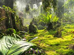 -深圳仙湖植物园-停车场