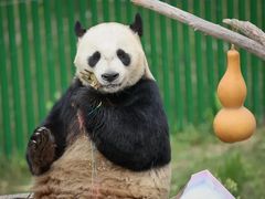 -沈阳森林动物园