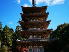 -醍醐寺