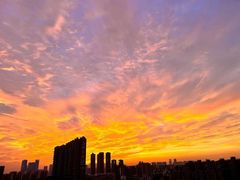 -南沙蒲洲花园